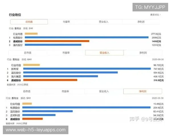 综合赛事商业合作及投资策略研究（485 ）